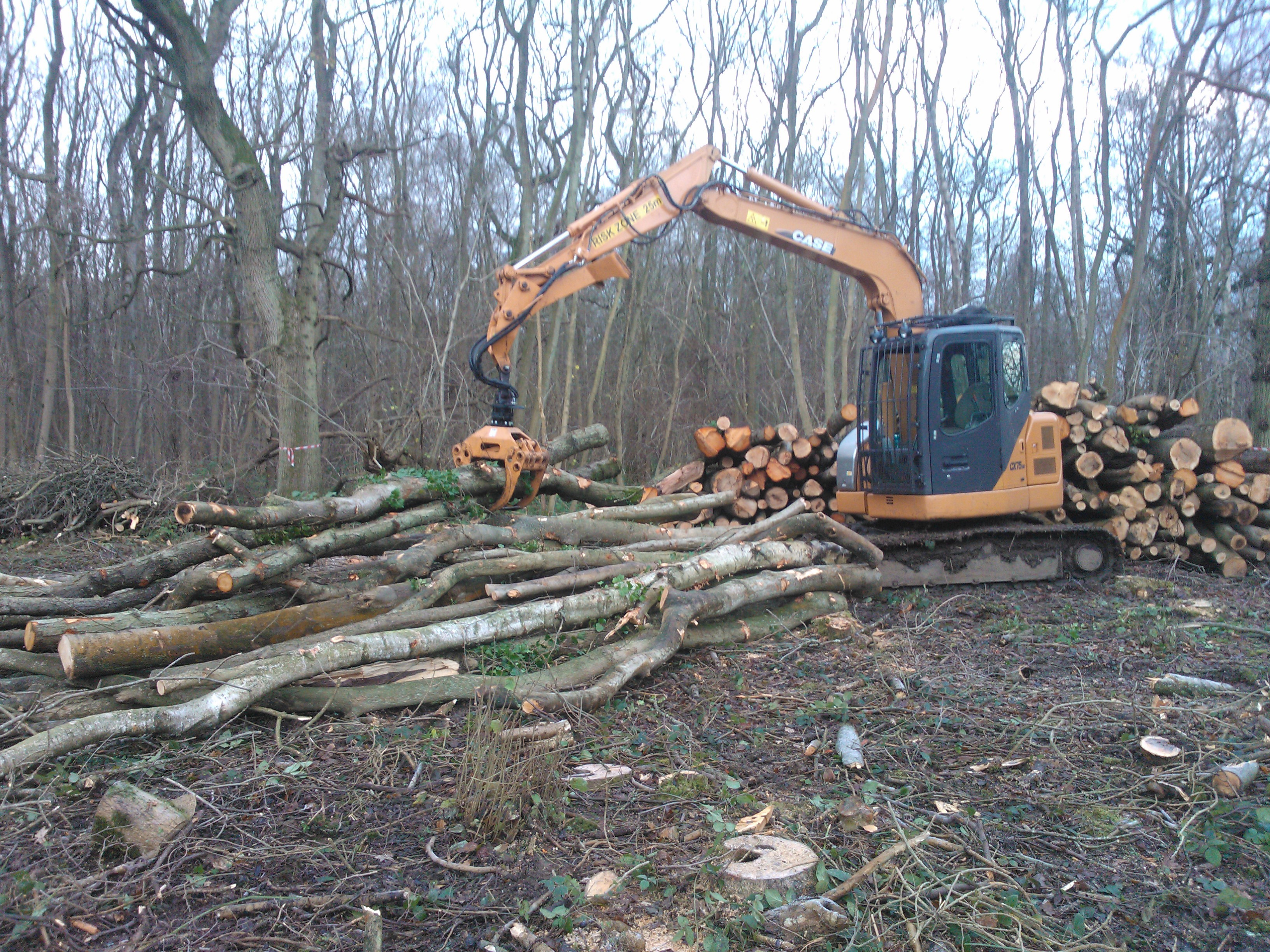 raydon great wood