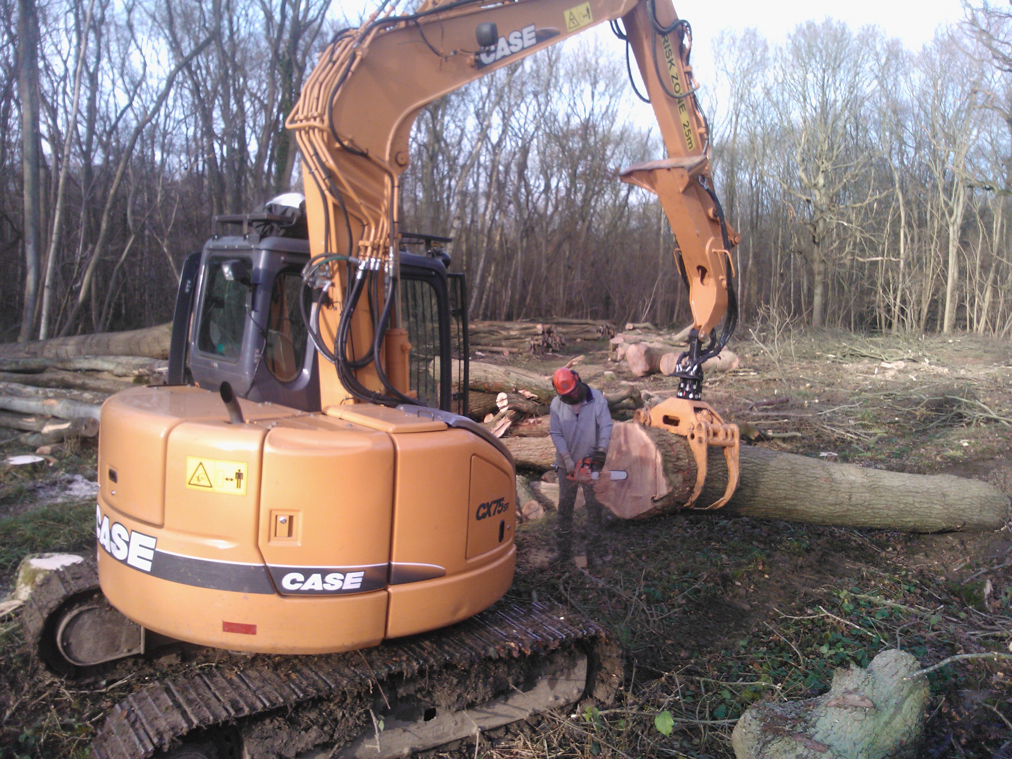 raydon great wood
